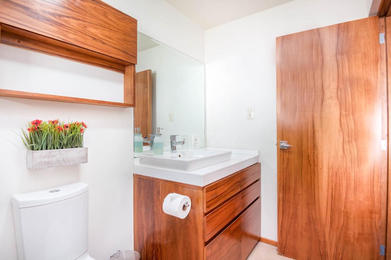 Finca Coyoacan Mexico City Ngoại thất bức ảnh