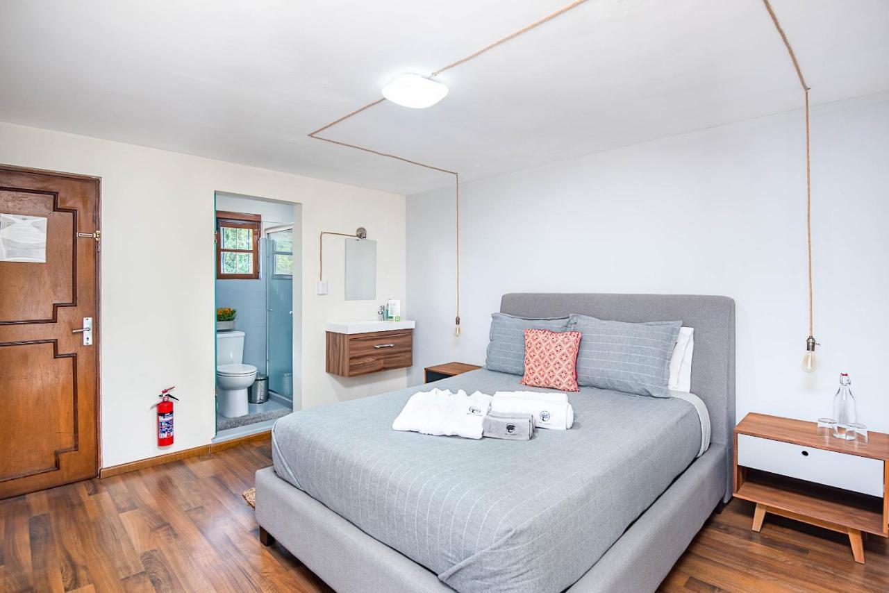 Finca Coyoacan Mexico City Ngoại thất bức ảnh