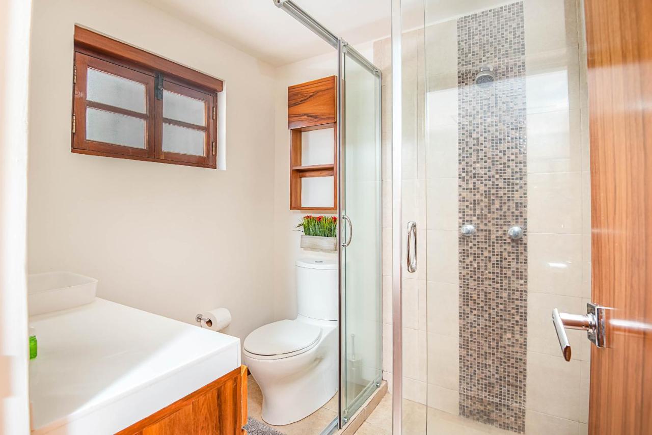 Finca Coyoacan Mexico City Ngoại thất bức ảnh