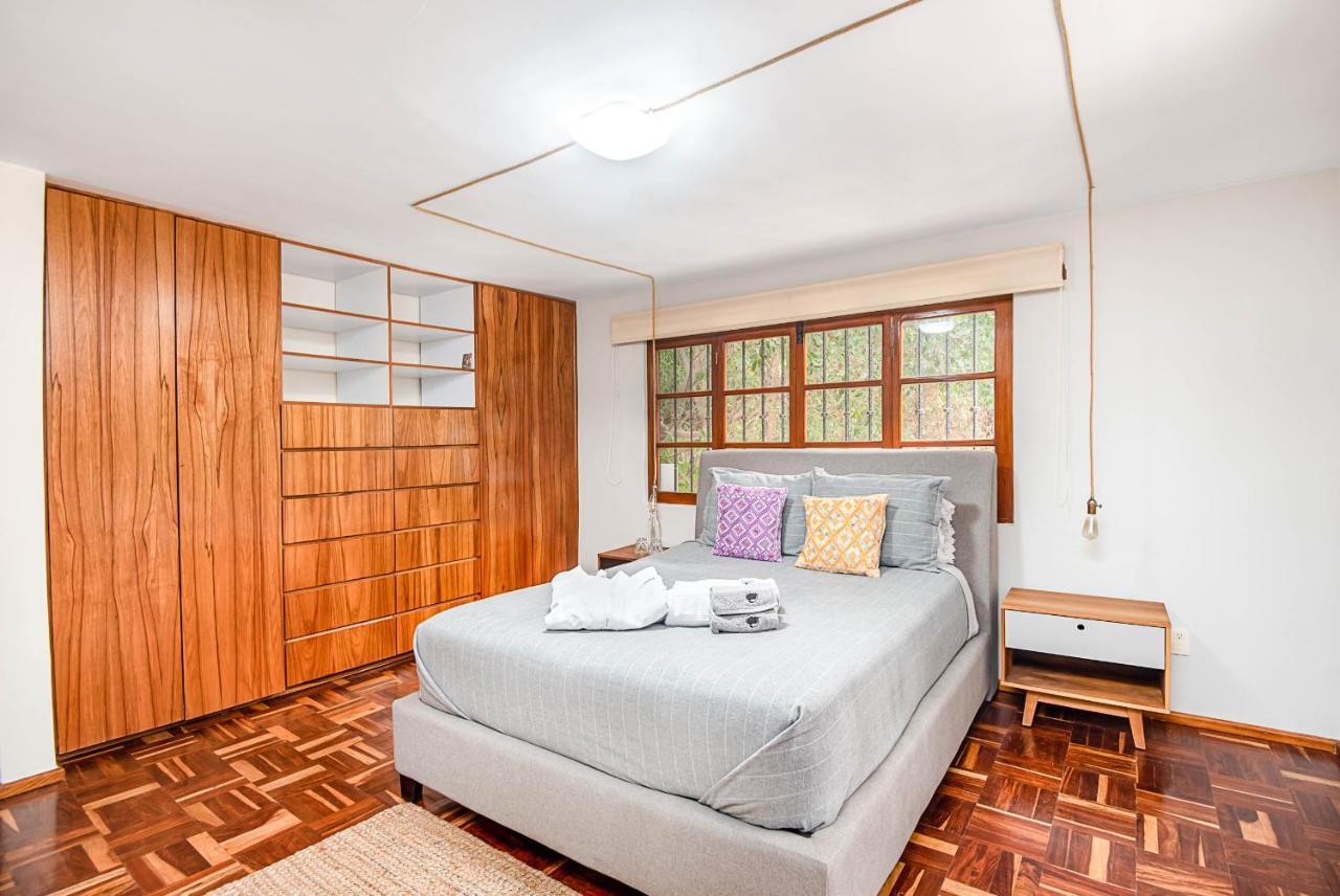 Finca Coyoacan Mexico City Ngoại thất bức ảnh
