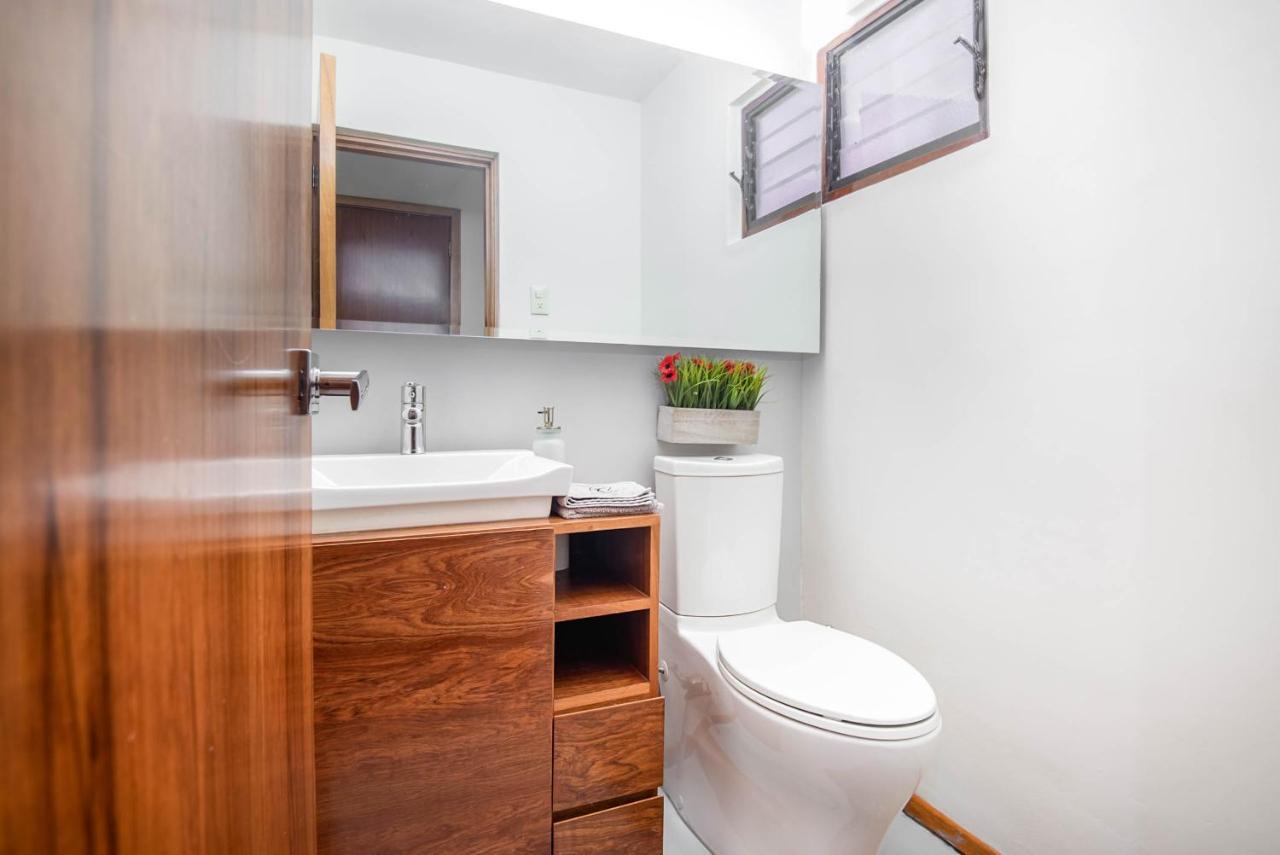 Finca Coyoacan Mexico City Ngoại thất bức ảnh