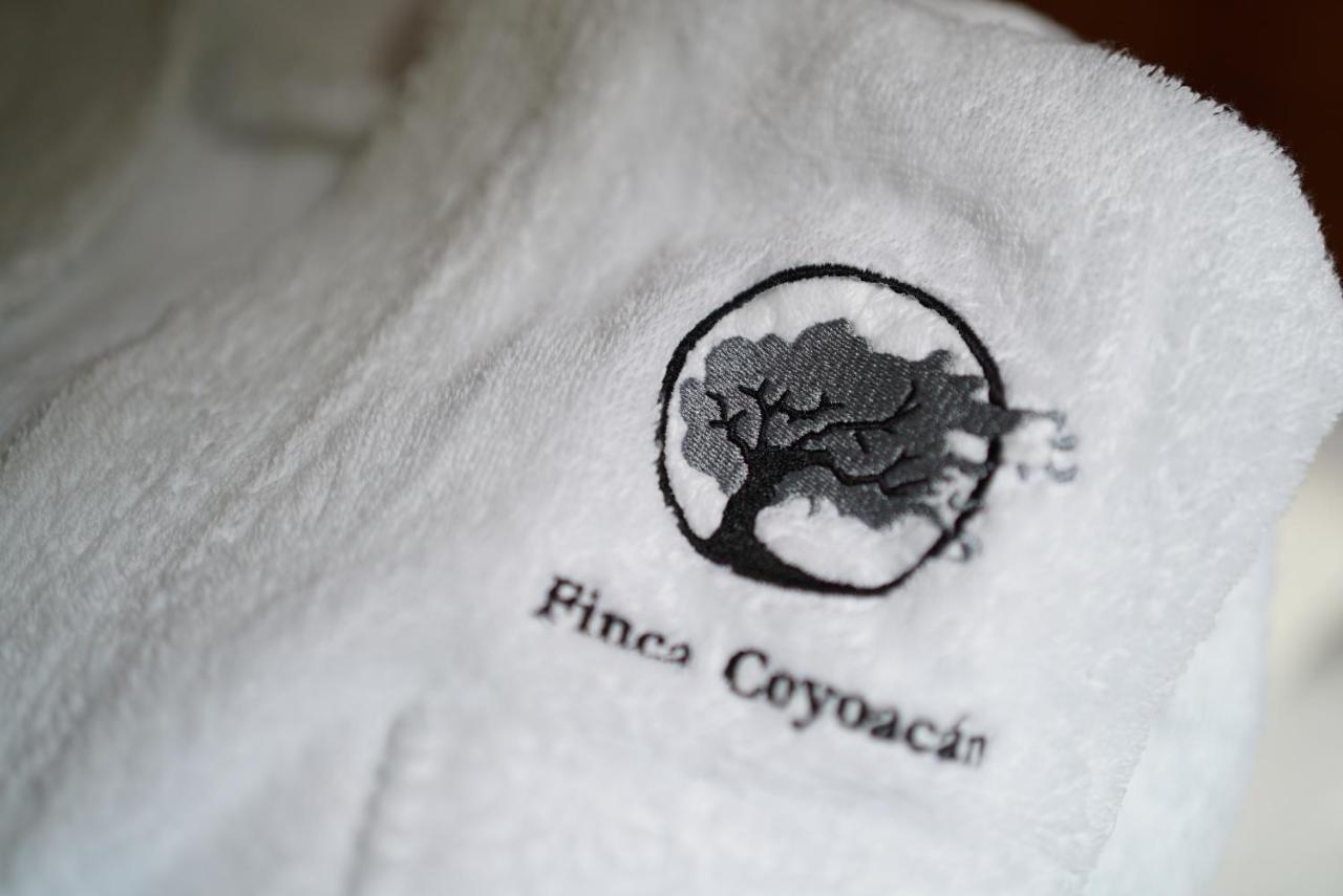 Finca Coyoacan Mexico City Ngoại thất bức ảnh